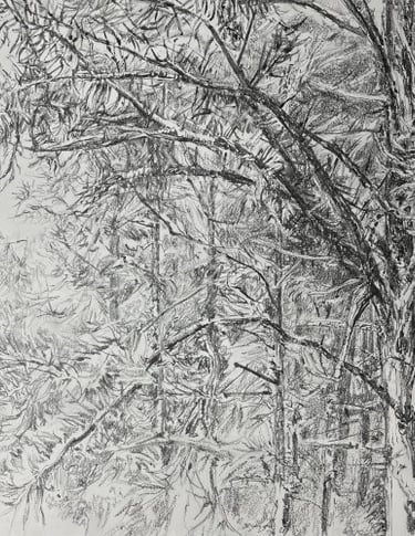 Larches detail