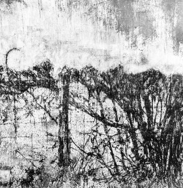 Straight edging - monotype