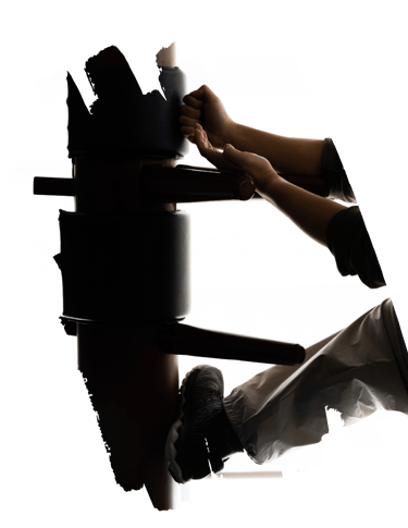 Винг Чун (Wing Chun)