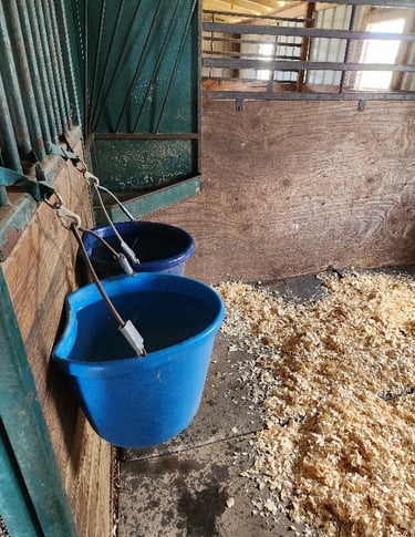 Windy Mane Ranch HH stall 3