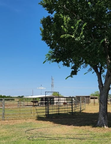 Windy Mane Ranch round pen and pasture boarding