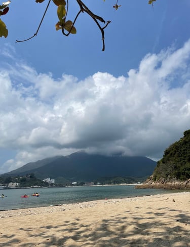 a beach with a mountain in the background