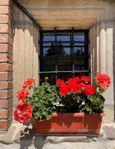 red flowers in front of window
