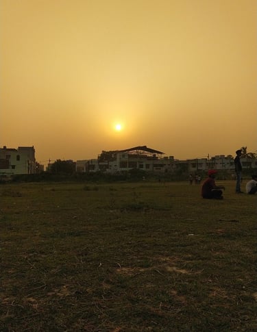 sunsets best picture