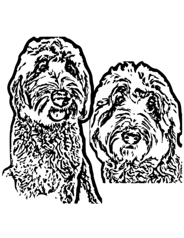 Minimalist line art illustration of two shaggy Labradoodle or Goldendoodle dogs on a black background.
