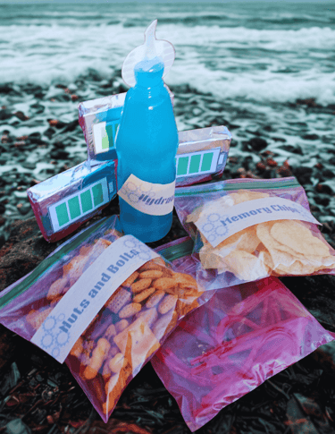 Wild Robot movie theme night snacks on the beach