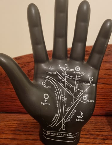 model of a palm showing the lines