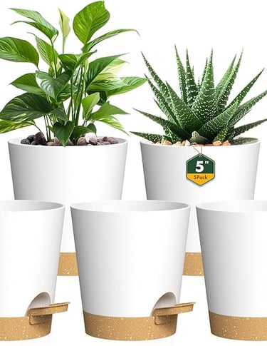 Set of white self-watering plant pots with green indoor plants, stylish home gift.