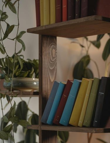a book shelf with books and a plant in a room
