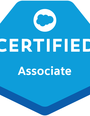 Salesforce Associate