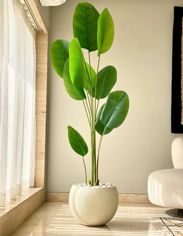 Tall Plant with Planter for rent as prop