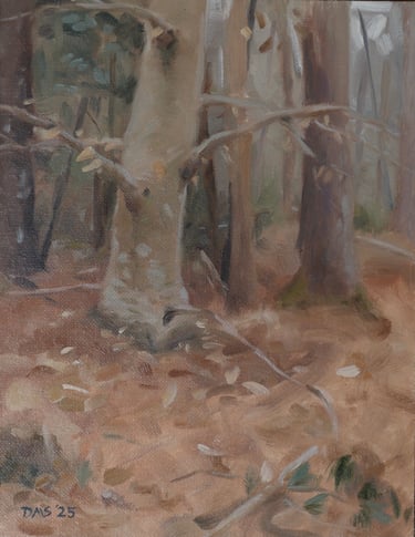 Winter Beech, LaHave River - Painting by David Shimp