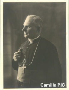 camille pic eveque de valence