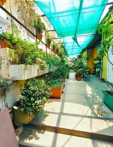 Terrace garden
