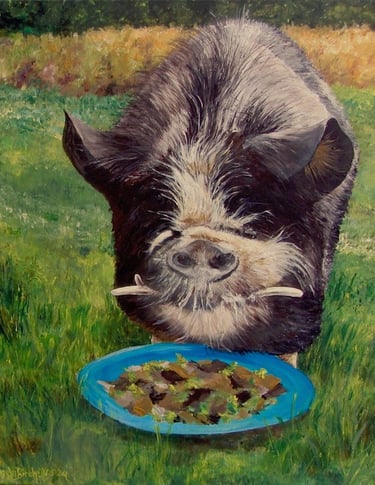 Portrait of pet pig Napleon, painted from photographs from his owner, in acrylics on stretched canvas.