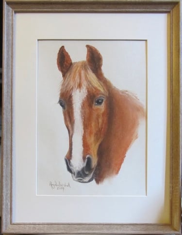 Commissioned portrait of chestnut pony, taken from owner's photograph, drawn in soft pastel