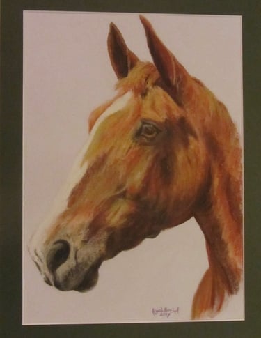 Commissioned portrait of chestnut horse, taken from owner's photograph, drawn in soft pastel