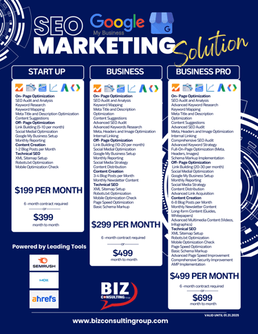 SEO Services Business Consulting Group