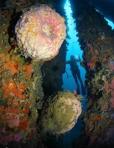a diver standing on a rock formation in the ocean