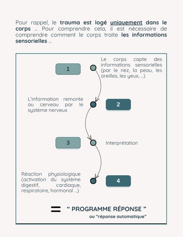 lmtc, libération mémoires traumatiques du corps, anxiété, stress, phobies, thérapie, émotion