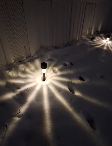 Warm pathway garden lights illuminating a front yard walkway at night