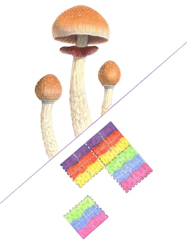 Psychedelics illustration