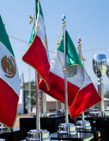 a group of flags with flags on them