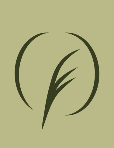 atsiliepimai ošia pušys