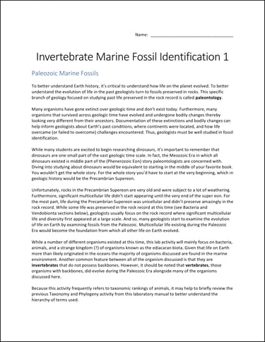 Invertebrate Marine Fossil Identification lab activity first page preview