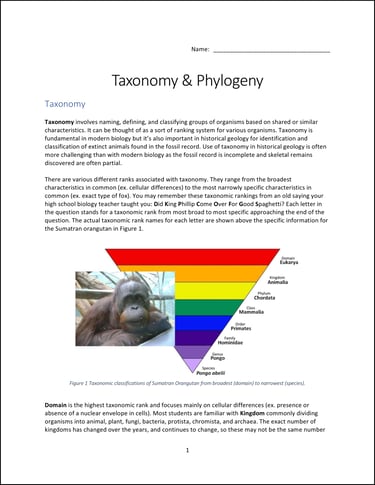 Taxonomy & Phylogeny lab activity first page preview