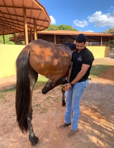 Saúde, desempenho e bem-estar de cavalos atletas monitorados de perto