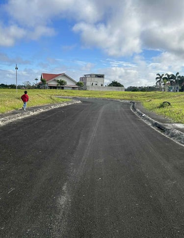 houseandlotforsaletagaytaycity