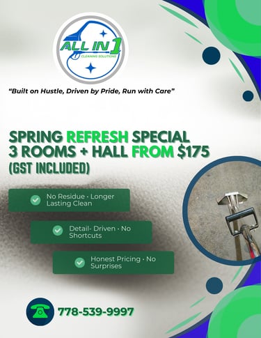 3 Rooms+Hall from $175 No residue Detail-driven cleaning Honest prices Limited Seasonal Availability