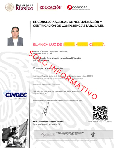 Official Mexican CONOCER certificate for labor competence in addiction counseling issued to Blanca Luz.