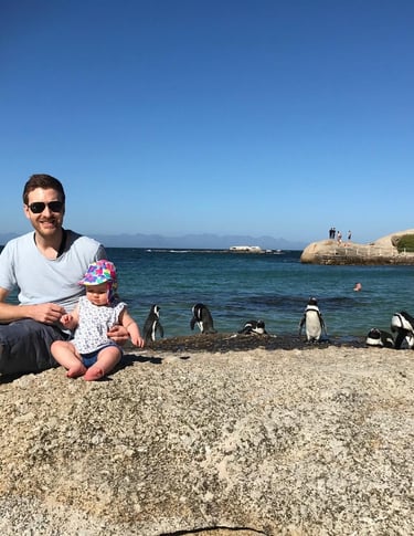 Guests at Boulders Beach with Penguins 