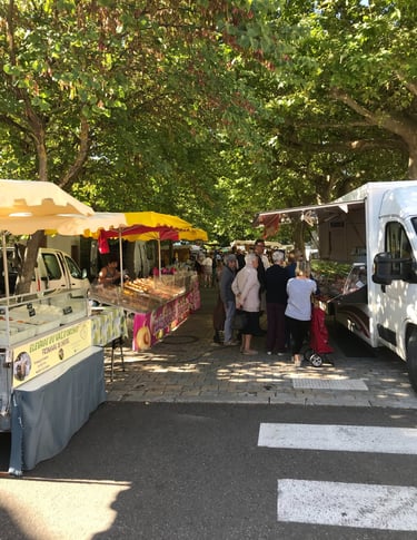 Outdoor Quillan village street market under shade trees.