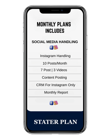 digital marketing agency in ludhiana stater plan