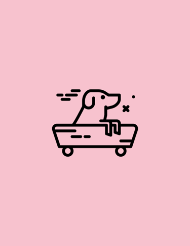 Secure and suitable transport to pick up and return your dog to your home