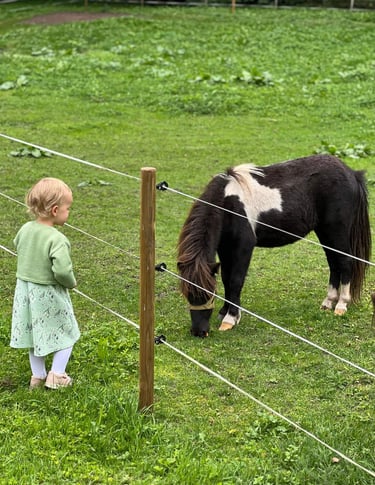 Mergaitė susipažįsta su poniu Ugdymosi erdvėje ,,Ąžuolynas"