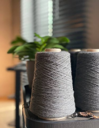 mezgimo siūlai internetu