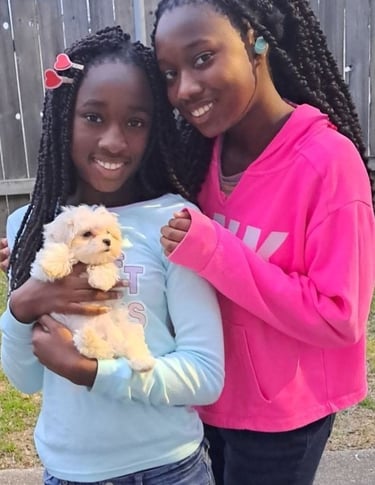 Mal-Shi Designer Pup and 2 girls