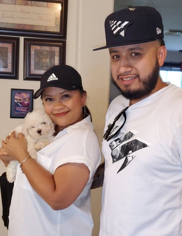 Maltese Mal-Shi Pup goes home