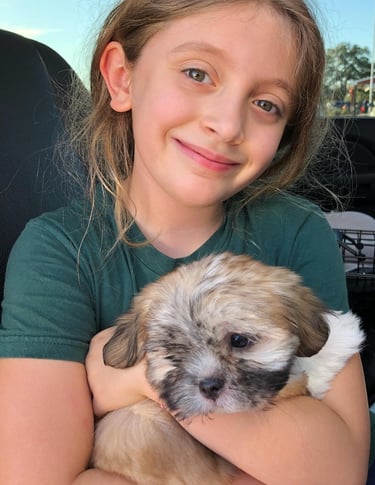 Perfect Paw Pups MalShi Family Adoption in Texas