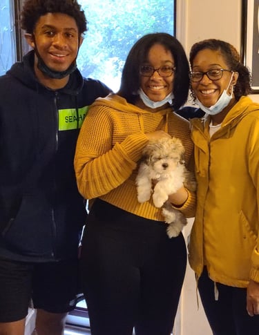 Mal-Shi Puppy Family