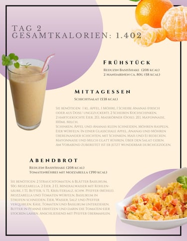 helenas diaetshop diaetplan für 1 woche mit reduzin diaetshake und mischkostmahlzeiten tag 2