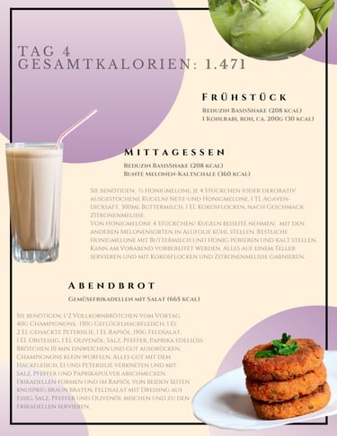 helenas diaetshop diaetplan für 1 woche mit reduzin diaetshake und mischkostmahlzeiten tag 4