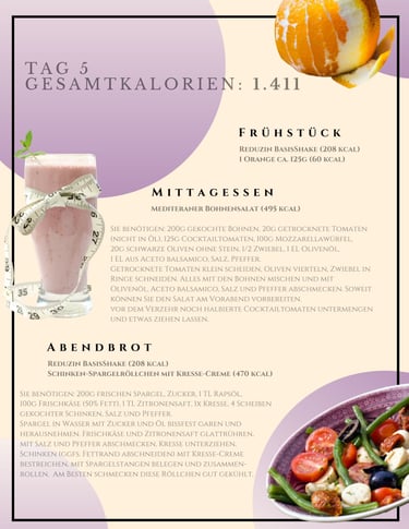 helenas diaetshop diaetplan für 1 woche mit reduzin diaetshake und mischkostmahlzeiten tag 5