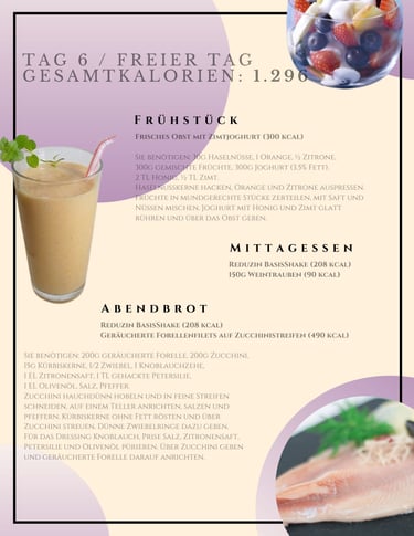 helenas diaetshop diaetplan für 1 woche mit reduzin diaetshake und mischkostmahlzeiten tag 6