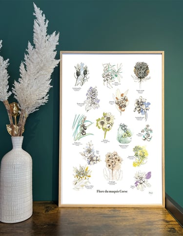 Poster Flore du maquis corse imprimé en digigraphie