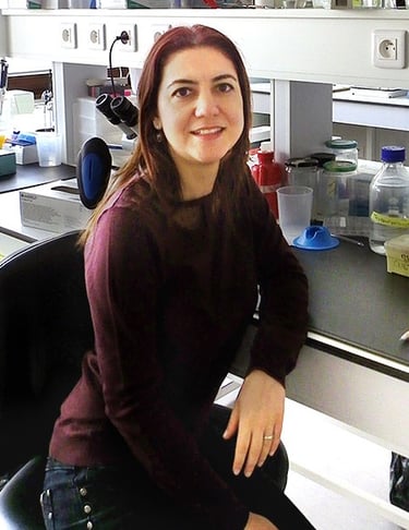 Dr Ipek Yalcin-Christmann
